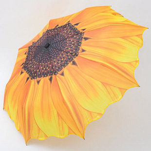 太阳花伞晴雨伞防紫外线遮阳伞