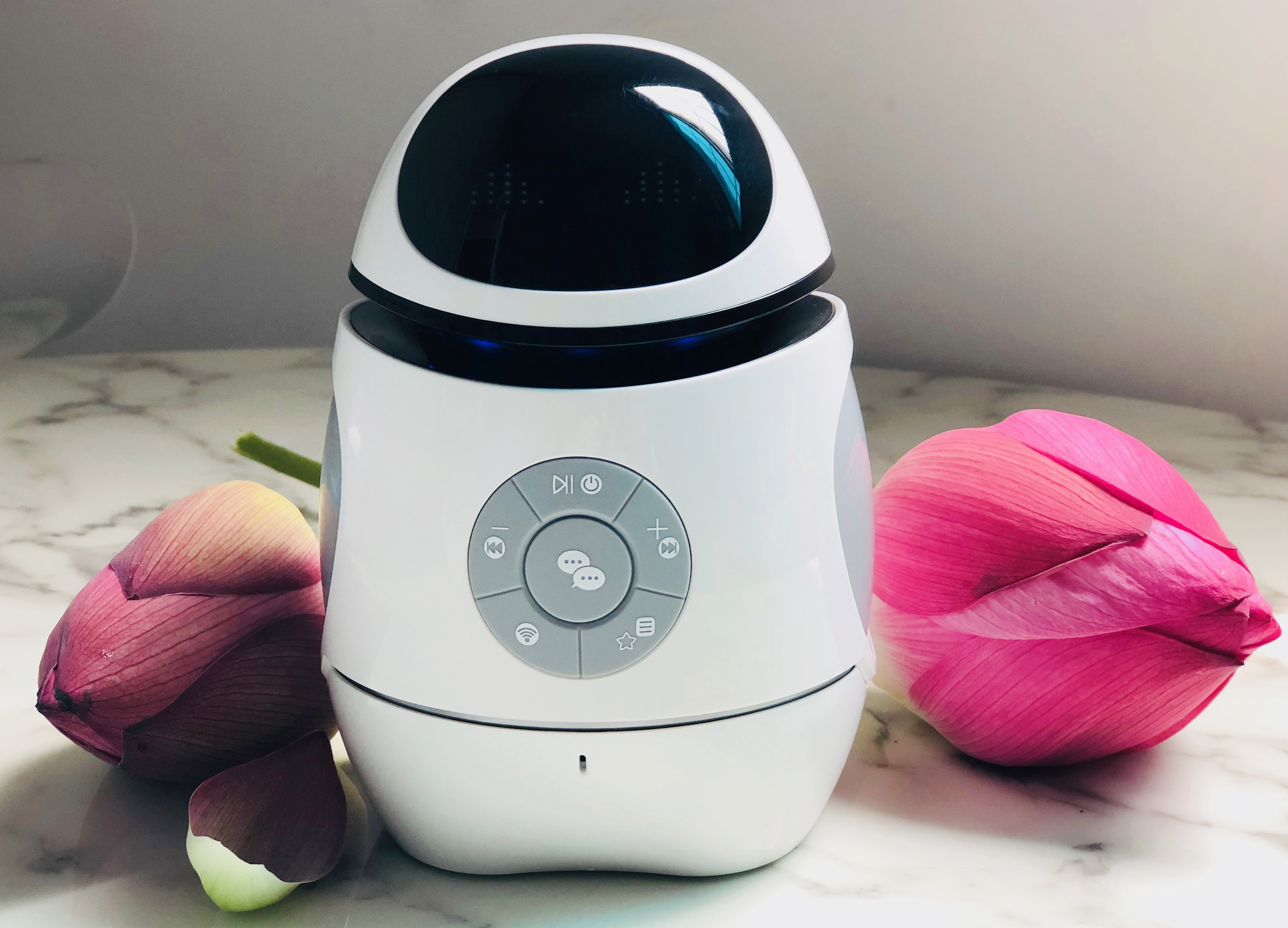 【试用评测】好帅二蛋智能教育机器人学习机