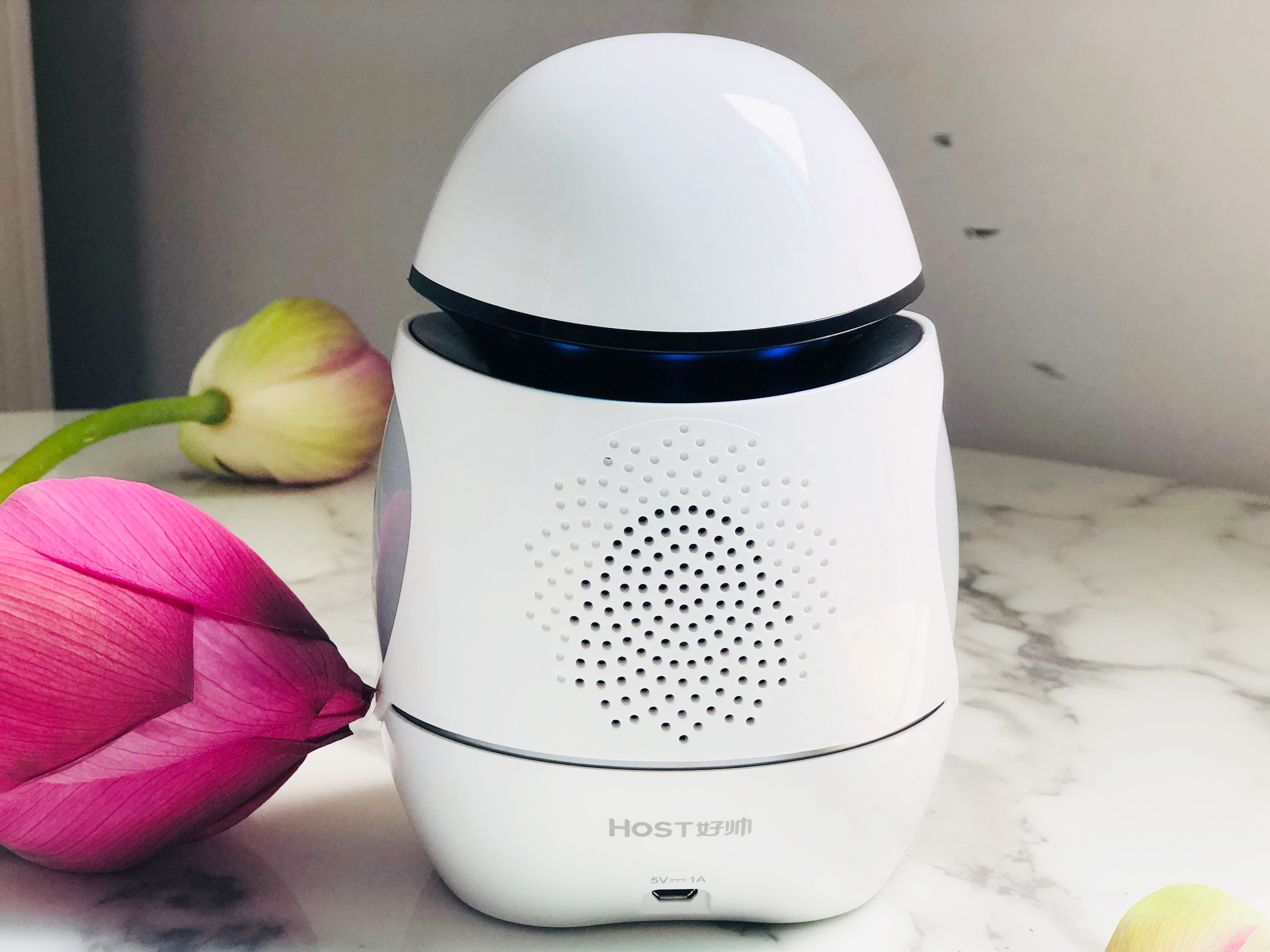 【试用评测】好帅二蛋智能教育机器人学习机